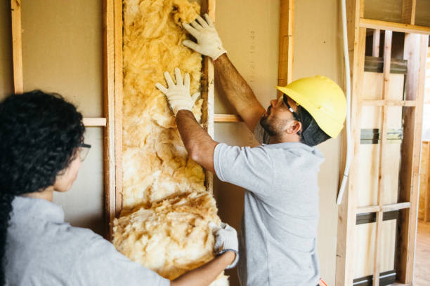 Range of Insulation Solutions in Woodstock, VA