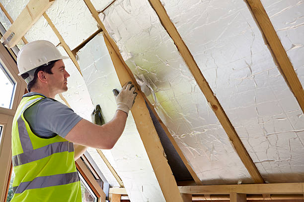 Best Blown-in Insulation  in Woodstock, VA
